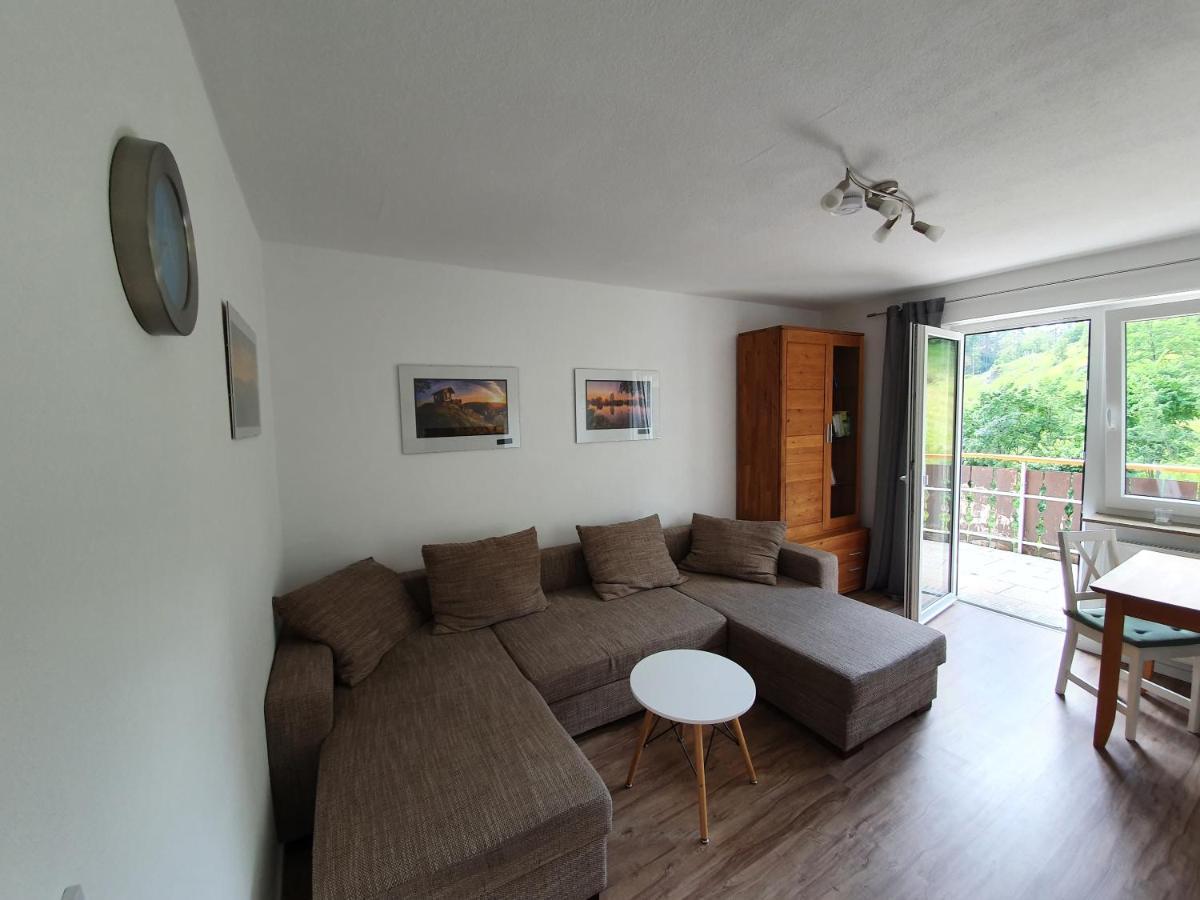 Haus Goldfuß Apartment