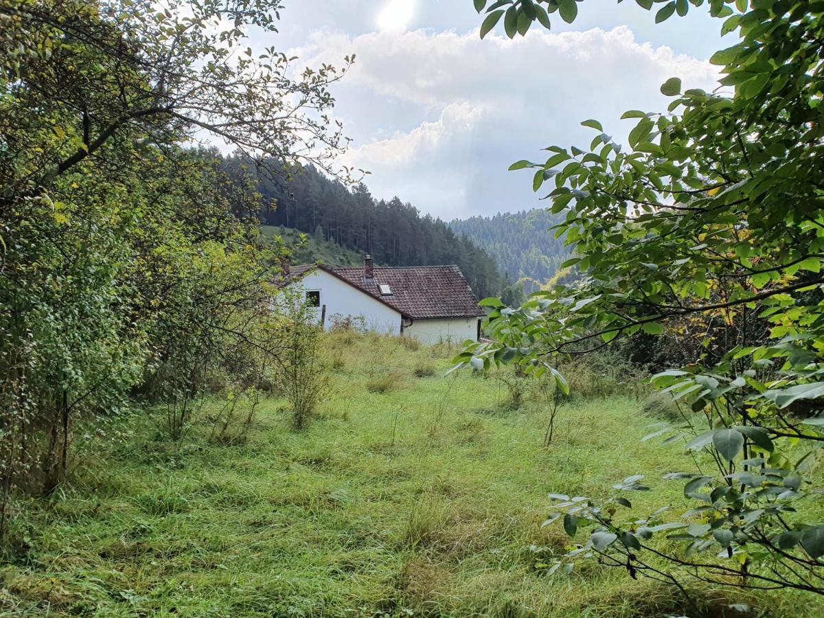 Haus Goldfuss *